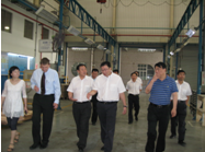 Luoyang City Government Leaders Visited Sunwin
