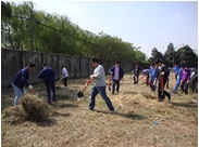 Youth League Organized Weeding Activity